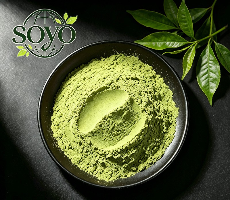 Organic Matcha Powder