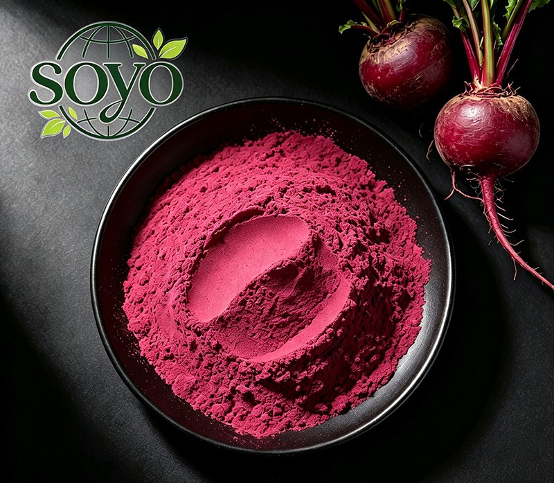 Organic Beet Root Juice Powder